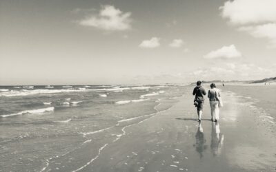 De zomer als spiegel